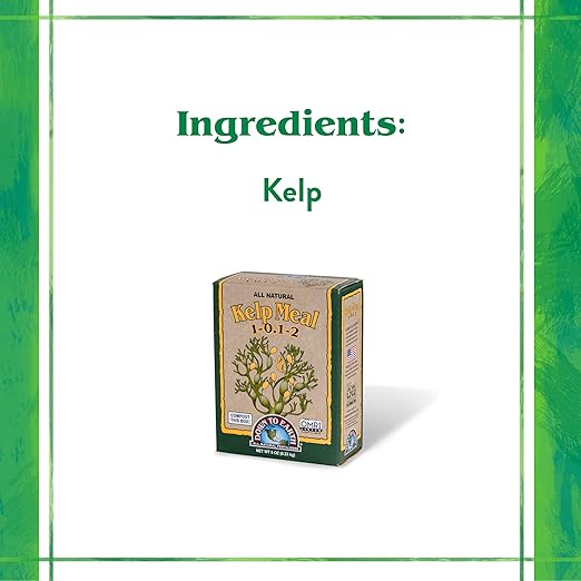 Down To Earth All Natural Fertilizers Organic Kelp Meal - Plant Food with Seaweed (Ascophyllum nodosum), Potassium and Trace Minerals 1-0.1-2, 0.5 lb