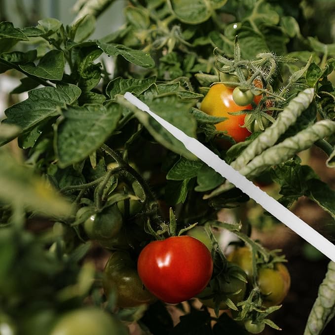 20-Pack Fruit Tree Pollinator Tool, Manual Handheld Pollination Brush for Tomatoes & Peppers, Soft Wand for Indoor Greenhouse Garden