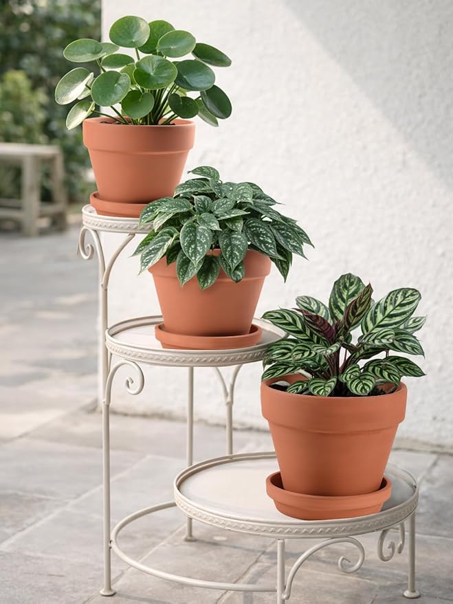 INGOFIN Terracotta Pots Set with Saucer - 5/6/7 inch Ceramic Clay Planters with Drainage Hole, Garden Flower Succulent Pots with Tray for Indoor Outdoor Plants, Set of 3