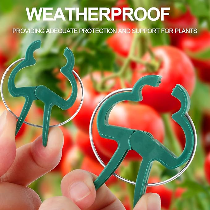 30 Pcs Large 1-3/4 inch Plant Support Clips,Flower and Vine,Garden Tomato Plant Support Clips for Supporting Stems,Vines Grow Upright Climbing,Tool for Straightening,Tomato Cage,Trellis.