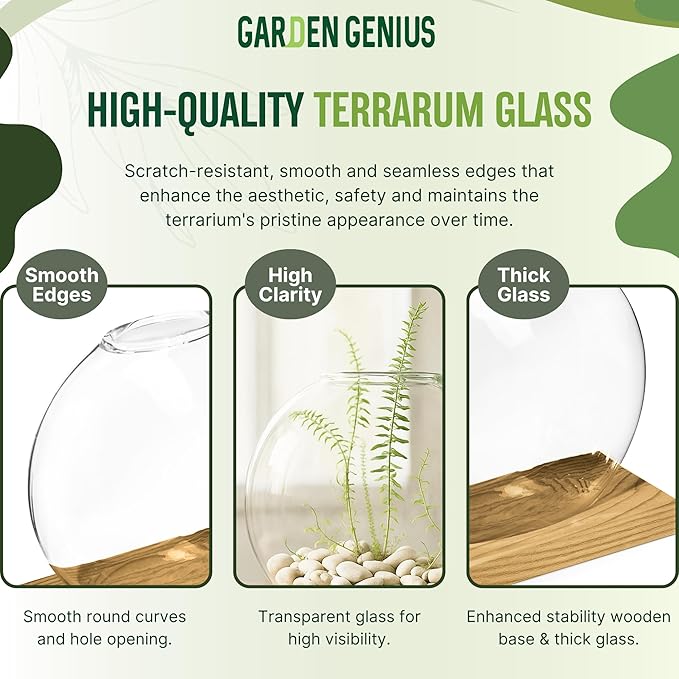 Single Glass Propagation Station with Wooden Base – Hydroponic Plant Terrarium for Home & Office | Ideal Christmas, New Year & Birthday Gift for Plant Lovers, Moms | Desktop Windowsill Planter Vase