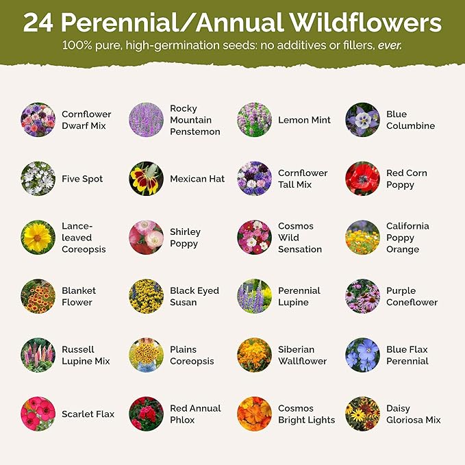 Eden Brothers Western Wildflower Mixed Seeds for Planting, 25 lb, 12,000,000+ Seeds with Cornflower, Blanket Flower | Attracts Pollinators, Plant in Spring or Fall, Zones 3, 4, 5, 6, 7, 8, 9, 10