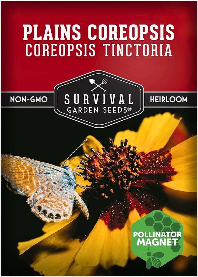 Survival Garden Seeds - Plains Coreopsis Seeds for Planting | Native Wildflower Coreopsis Tinctoria | Pollinator Support | Calliopsis - 1 Pack