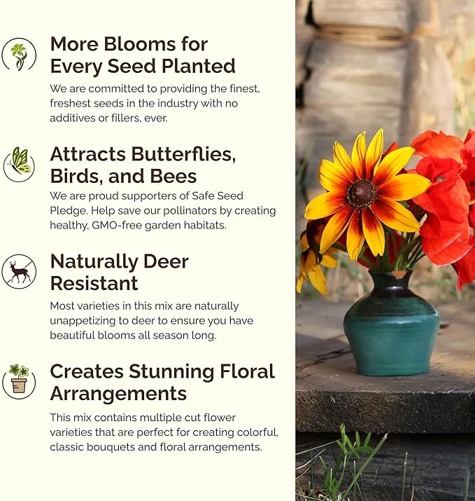 Eden Brothers Virginia Wildflower Mixed Seeds for Planting, 1 oz, 30,000+ Seeds with Five Spot, African Daisy | Attracts Pollinators, Plant in Spring or Fall, Zones