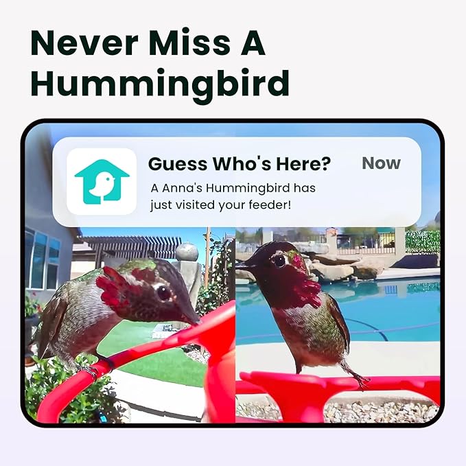 Birdfy Hummingbird Feeder with Dual Cameras - 2K HD Smart Cameras Solar Powered, Close-Up Bird Video/Live Watching & Instant Notifications, Ant Moat & Leakproof - 20oz