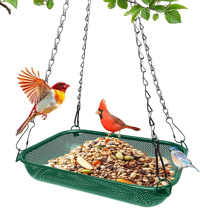 Platform Hanging Bird Feeder for Outdoors – Metal Mesh Seed Tray to Attract Wild Birds, Rectangle 12 x 8 in, Green