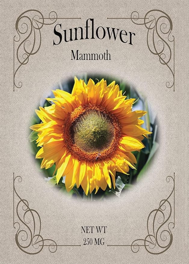 Black Duck Brand Set of Flower Seed Packets! Flower Seeds in Bulk - Great for Creating The Garden of Your Dreams! (100, Mammoth Sunflower)