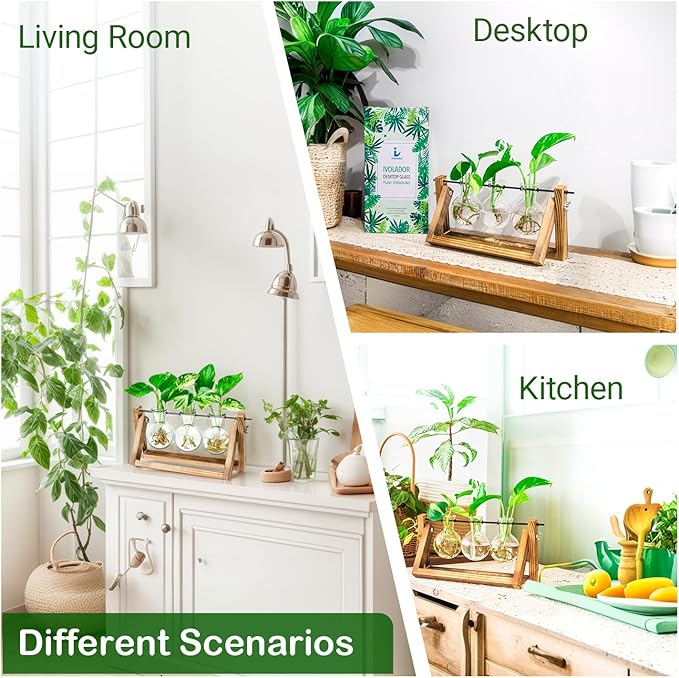Propagation Station, Plants Terrarium, Plants Lover Gifts for Women,Plant Cutting Holder Home décor,Gifts for Women,House Warming New Home-3 Bulbs