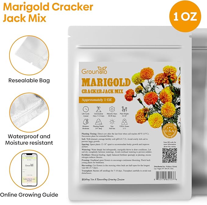 Marigold Seeds, 1 OZ Over 9500+ Seed, Cracker Jack in Mix Color for Planting Indoor & Outdoor, Attract Pollinators, Non-GMO | Heirloom | USDA Zone 2-11