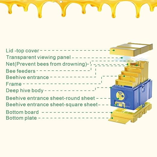 Queen Nuc Box Bee Mating Nuc Hive Bee House Mini Bee Hives Box Queen Rearing Box for Beekeeping (Blue)