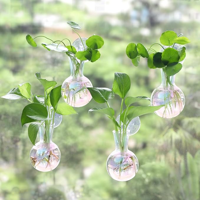 4 pcs Iridescent Window Propagation Stations, Easy to Install Plant Propagation Bulbs with Suckion Cups, No Nails Wall Hanging Planter Propagation Station, Glass Plant Terrarium Vase