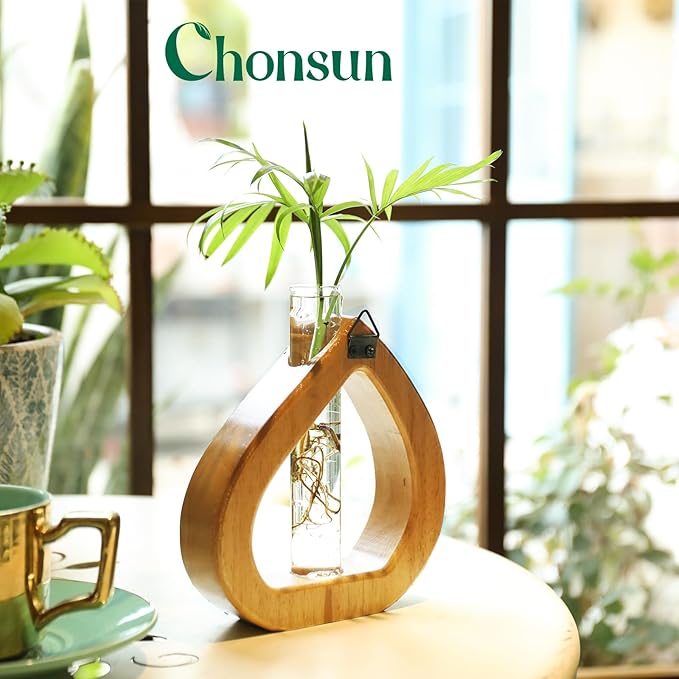 Propagation Stations Planter Terrariums Wall Hanging Test Tube Desk Decorations with Wooden Stand Plant Terrarium Office Decor Gifts for Plant Lover Gifts