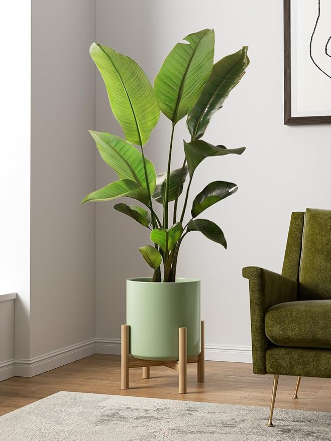 LE TAUCI 12 Inch Pot for Plants, Ceramic Planters for Indoor Plants, Mid-Century Modern Cylinder Flower Pots with Drainage Hole, Fits Fiddle Leaf Fig & Monstera, Home Decor, Sage Green