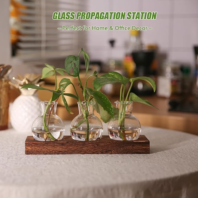 Plant Propagation Station, Plants Terrarium with Wooden Stand Bulb Glass Vase Planter Gift for Plant Lovers Home Office Decor