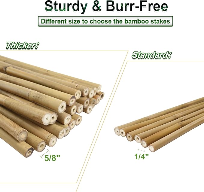 20pcs 5/8" D Thicker Heavy Duty Bamboo Stakes, 6FT Plant Stakes, Natural Garden Stakes for Tomato, Bean, Flowers,Trees Potted and Climbing Plant Support