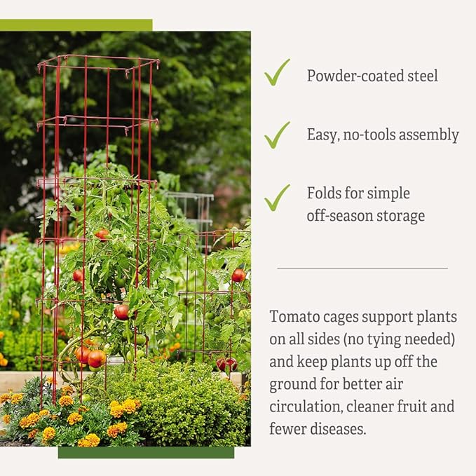 Gardener’s Supply Company Lifetime Tomato Cages | Heavy Gauge Sturdy Garden Plant Supports for Vegetables and Other Climbing Plants | No Assembly Needed - Red (Set of 4)