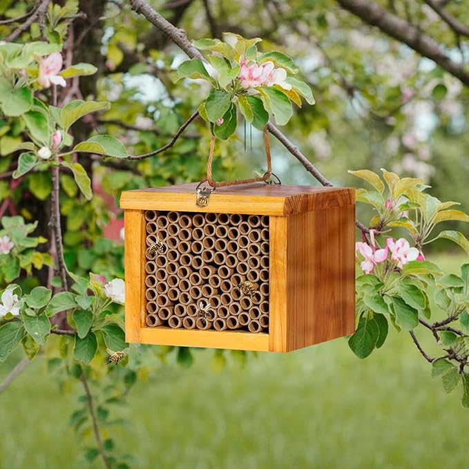 Mason Bee House - Wax Coated Bee Hotel for the Garden, Natural Handmade Wooden Insect Hotel, Mason Bee Home for Outdoors, Attracts Peaceful Bee Pollinators to Your Garden