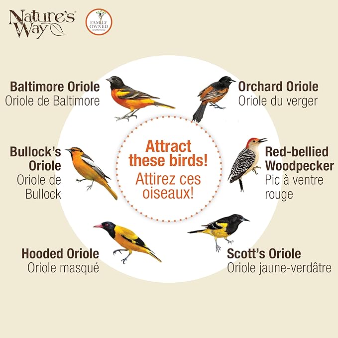 Nature's Way OFP1 All-in-One Oriole Buffet Bird Feeder, Orange