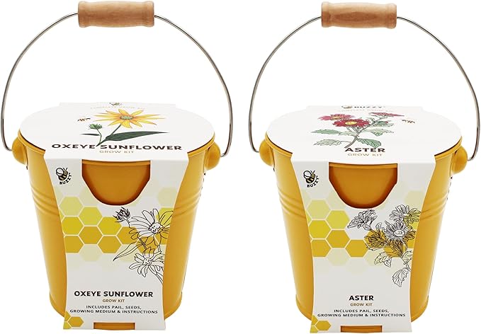 BUZZY Seeds Pollinator 2-Pack Grow Kit with Aster and Ox-Eye Sunflower Seeds, Growing Medium, and Decorative Yellow Pails, All-in-One Gardening Gift to Sprout Bee and Butterfly Friendly Blooms