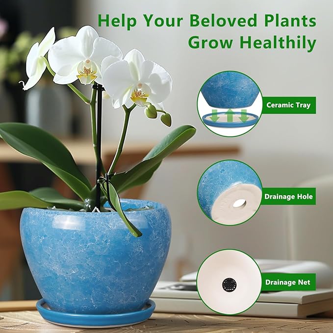 6 Inch Plant Pot - Ceramic Planter Pot with Drainage Hole and Saucer, Glaze Succulent Pot Modern Round Flower Pot for Indoor Plants, Blue