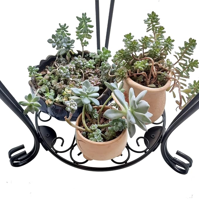 CASIMR 2-Pack Plant Stand, 2 Tier 19.2 inch Tall Metal Potted Holder Rack,Indoor Outdoor Multiple Flower Pot Shelf Rustproof Iron Garden Container for Garden Patio Living Room Corner Balcony, Black