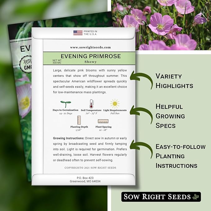 Sow Right Seeds - Showy Evening Primrose Flower Seeds for Planting - Non-GMO Heirloom Packet with Instructions - Native Wildflower for Pollinators - Perennial Pink Ladies, Mexican Evening Blooms (4)