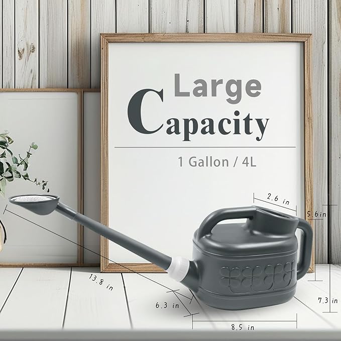 1 Gallon Watering Can, Garden Watering Can Outdoor, Plant Water Can with Removable Long Spout and Stainless Steel Sprinkler Head, Plastic Indoor Watering Cans for Gardening Flower Plants