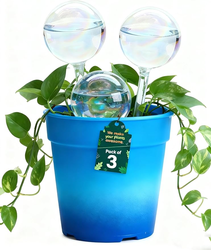 Large Plant Watering Globes, 3PCS Iridescent Rainbow Gradient Color Clear Glass Bulbs Self Watering Spikes Planter Insert, Automatic Plant Waterer Bulbs Devices for All Plants, 9" L * 2.75" D
