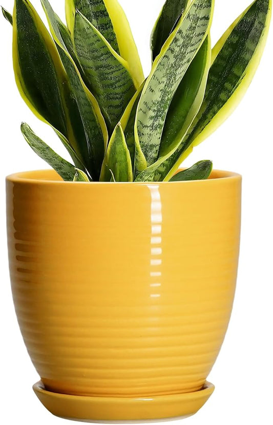 Ceramic Pots for Plants - 6 Inch Plant Pot for Indoor Plants, Ceramic Planter with Drainage Hole and Saucer, Round Decorative Flower Pots, Desk Home Decor, Plant Lover Gifts, Glossy-Yellow