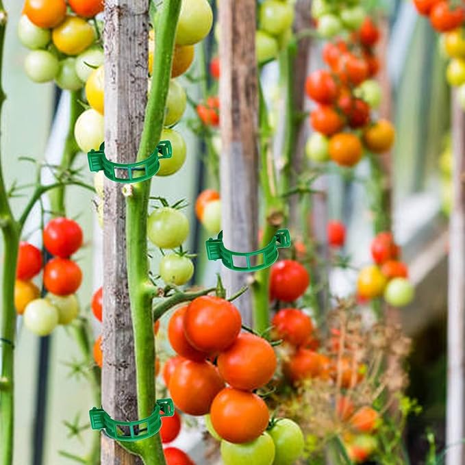 100PCS Green Plant Support Clips, Tomato Clips, Garden Clips, Trellis Clips, Vine Clips for Climbing Plants to Prevent Tomatoes from Pinching or Falling Off