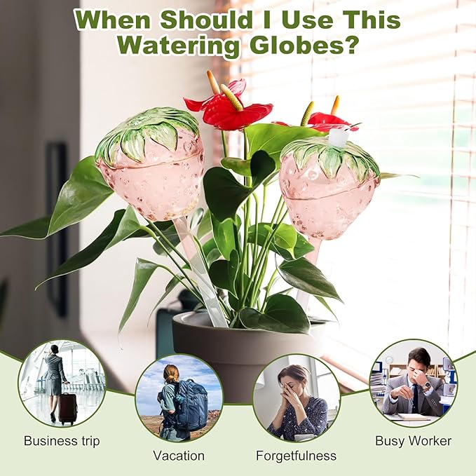 Strawberry Plant Watering Globes Set of 2, Large Water Bulbs for Indoor Plants, Glass Self Watering Planter Insert, Top-Fill Watering Globes for Indoor Outdoor Plants