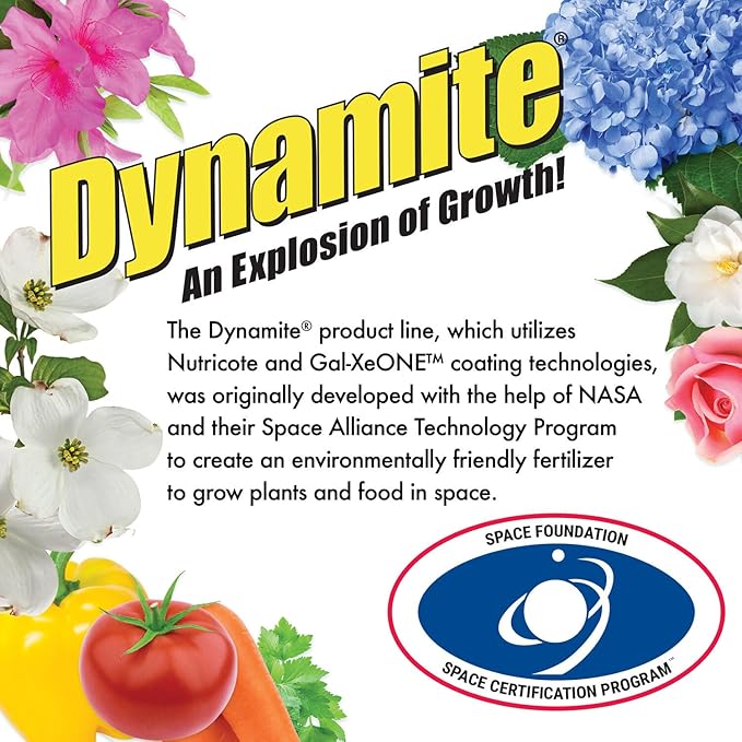 Dynamite Mater Magic - Organic Tomato Fertilizer for Bigger, Juicier Tomatoes and Vegetables, OMRI Listed, Nitrogen and Calcium-Rich Plant Food - .675 Pound Container with Shaker Lid (Pack of 2)
