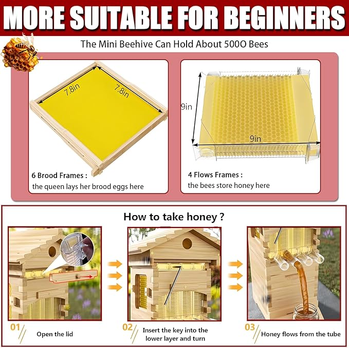 Beehive Starter Kit, Self-Flowing Honey Beehive with Observation Window and Honey Spout, Includes 4 bee Frames and 6 Honeycomb Trays for Beekeeping,Garden Pollinators