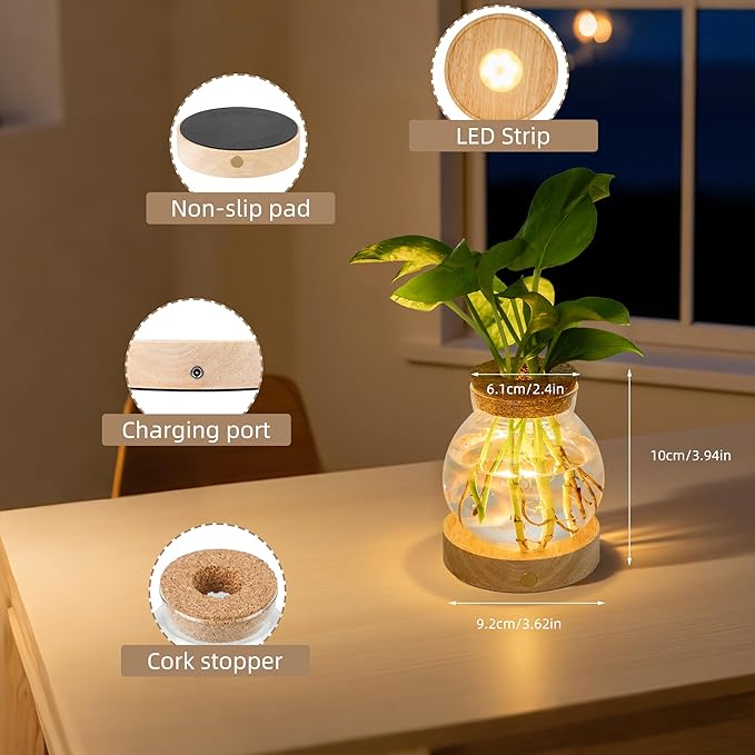 Plant Propagation Station with Wooden Saucer, Glass Terrarium with Stepless Dimming Function Hydroponic Glass Container Vase Jars Gardening Gifts for Mom Women Plant Lovers(2 Pack)