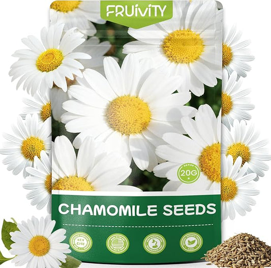 2300+ German Chamomile Seed Pack, Non GMO Heirloom Seeds for Planting, Herb Seed to Plant, Easy to Grow, High Germination, for Home Garden Indoor Outdoor