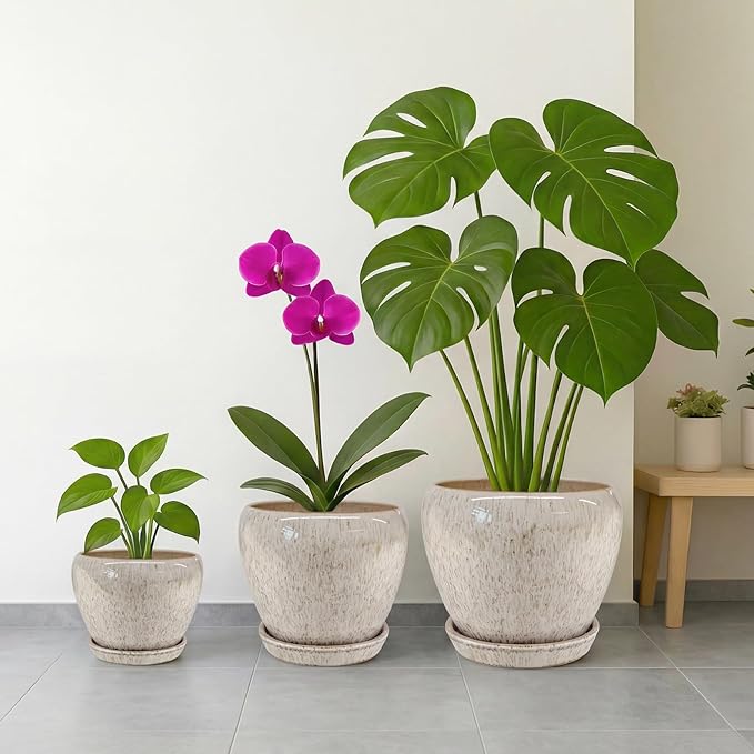 Deep Dream 10 Inch Plant Pot- Ceramic Planter Pot Round Plant Pots for Indoor Plants Outdoor Large Flower Pot with Drainage Holes & Trays, Beige