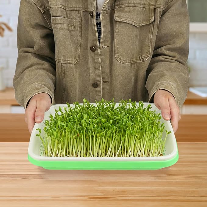 20 Pack 12.6 x 10 x 1.8 inch Microgreens Growing Trays, BPA-Free Sprouting Trays, Germination Tray for Beans, Wheatgrass & Microgreens, Home, Kitchen & Garden