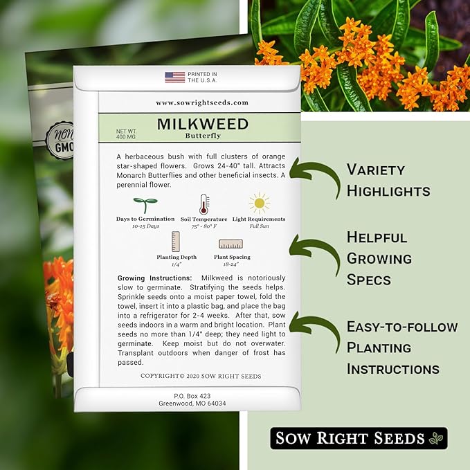Sow Right Seeds Butterfly Milkweed Seeds - Attract Monarch And Other Butterflies to Your Garden - Non-GMO Heirloom Seed Packet With instructions for Planting - Perennial Host Plant for Pollinators (1)
