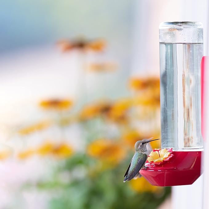 Perky-Pet Window-Mounted Glass Hummingbird Feeder - 14 fl oz Nectar Capacity - Entertaining Bird Watching - Glass Window Bird Feeder - 455-2 - Family Birdwatching