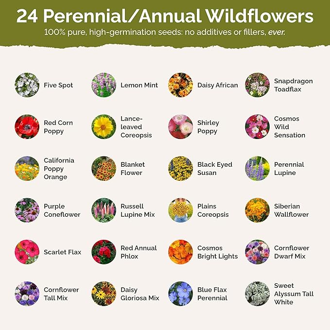Eden Brothers Southeast Wildflower Mixed Seeds for Planting, 50 lb, 24,000,000+ Seeds with Cornflower, Blanket Flower | Attracts Pollinators, Plant in Spring or Fall, Zones 3, 4, 5, 6, 7, 8, 9, 10