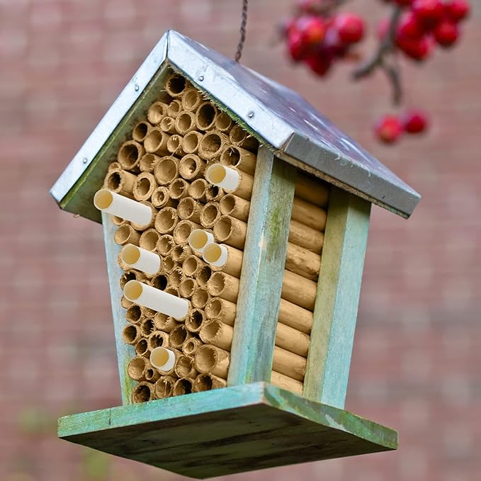 Lewtemi 480 Pcs Mason Bee House Tube Refill Cardboard Bee Tube Paper Mason Beekeeper Cardboard Insert Beekeeping Supplies for Solitary Beehive House Garden Pollinator Nest