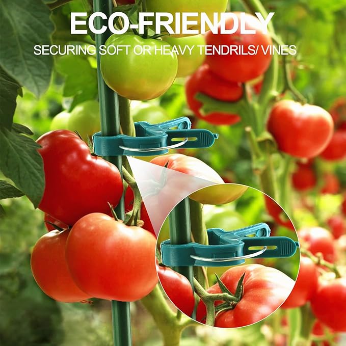 30 Pcs Large 1-3/4 inch Plant Support Clips,Flower and Vine,Garden Tomato Plant Support Clips for Supporting Stems,Vines Grow Upright Climbing,Tool for Straightening,Tomato Cage,Trellis.