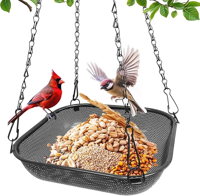Platform Hanging Bird Feeder for Outdoors – Metal Mesh Seed Tray to Attract Wild Birds, Square 11 x 11 in, Black