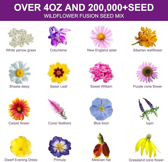 200,000+ Wildflower Seeds [4oz] 16 Variety Perennial Mix - Non-GMO, USA-Sourced Heirloom Seeds for Pollinator Gardens | Attracts Bees/Birds/Butterflies | High Germination Rate for Indoor & Outdoor