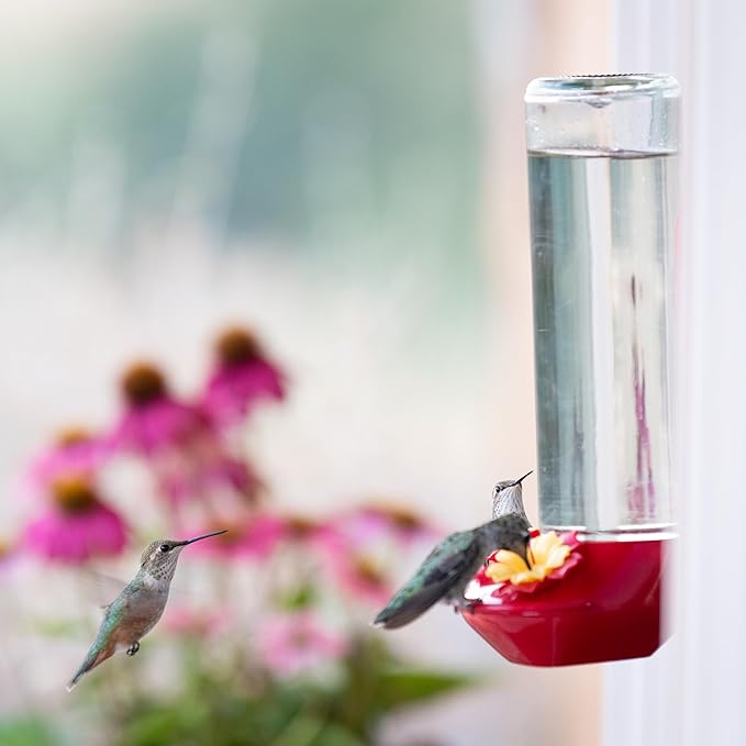 Perky-Pet 455-2 Mounted 445-2 Glass Window Hummingbird Feeder, Red – 14 oz (Pack of 2)