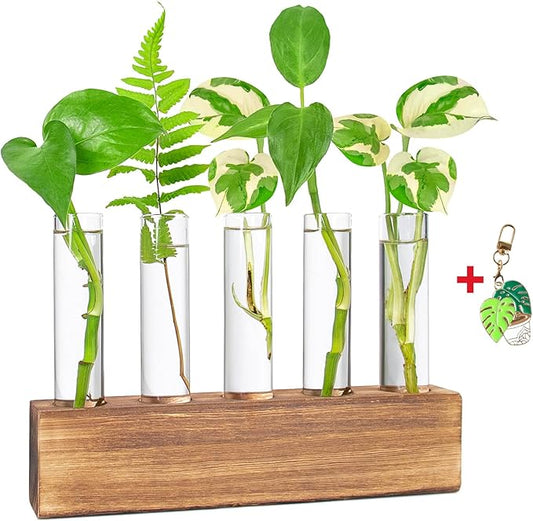 KAXYEW Plant Propagation Station, Plants Propagation Tubes, Gifts for Plant Lovers, Plants Cutting Holder Test Tube Vase Office Desk Garden Décor Gift for Her Mom Women Hydroponic Vase New Gift Box