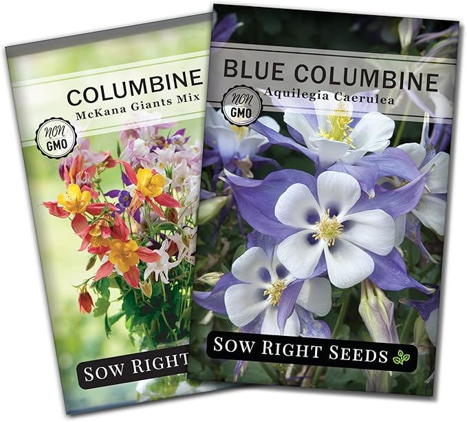 Sow Right Seeds - Columbine Flower Seed Collection for Planting - Blue and McKana Giants Flowers to Plant in Your Garden - Non-GMO Heirloom Seeds - Seed Kit Attracts Pollinators - Great Gift