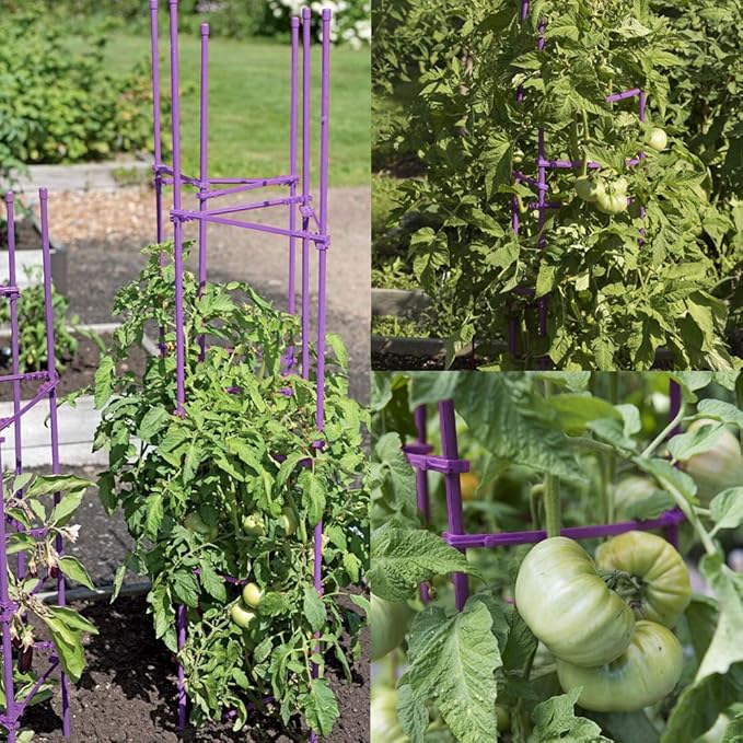 Tomato Cage 5ft 6-Pack Large Tall Tomato Cages Tomato Stakes Plants Supports Garden Stakes,40 Clips and Plant Ties Include, Green