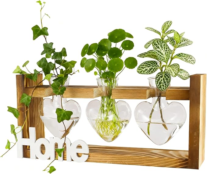 IBEUQEM Heart-Shaped Plant Propagation Station, 3 Glass Plant Terrarium with Wooden Stand, Starter, Propagation Station for Hydroponics Office Garden Home Decor, for Women Lovers