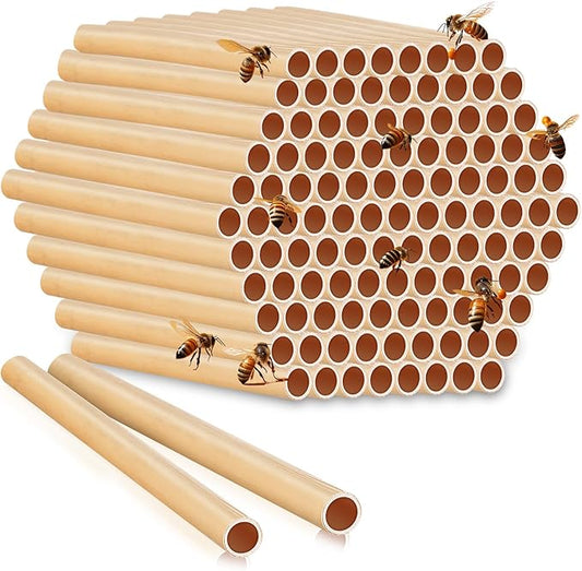 Tinideya 250 Pcs Phragmite Reed Mason Bee Tubes Set Bee Hotel Nest Box Pollinator Bee Box for Mason Bee Houses Natural Phragmite Bee Nest Bees Supplies Refill Your Mason Bee House Bee Hive